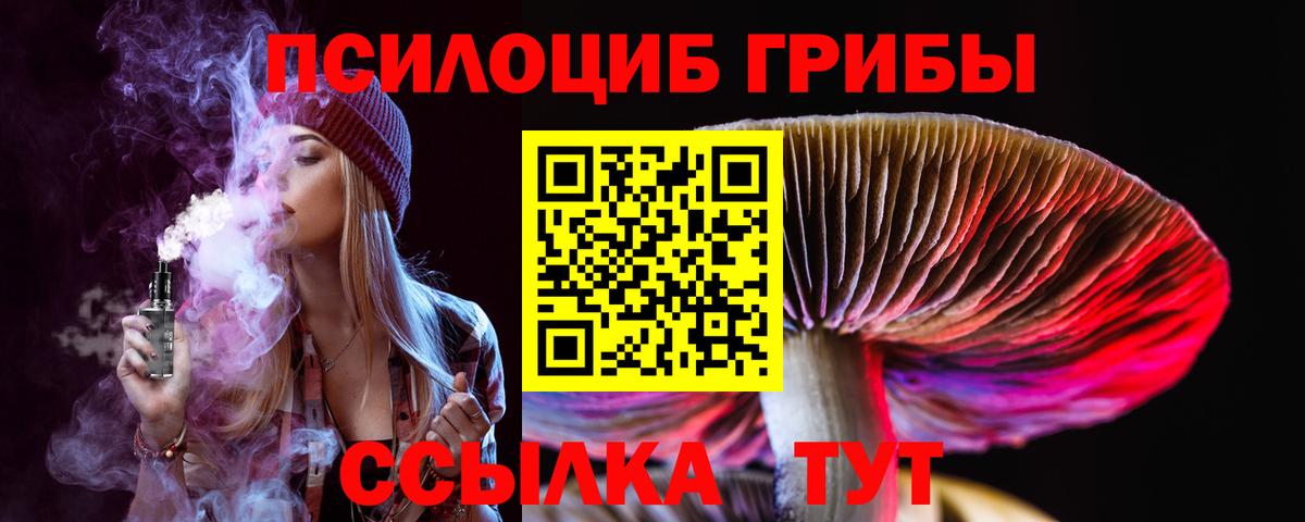 Псилоцибиновые грибы Cubensis Кызыл